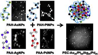Graphical abstract: Self-assembly of individual polymer chain–metal nanoparticles for polymer cargo nanocomposites with tunable properties