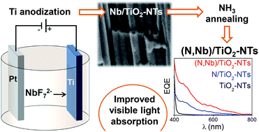 Graphical abstract: One step synthesis of niobium doped titania nanotube arrays to form (N,Nb) co-doped TiO2 with high visible light photoelectrochemical activity