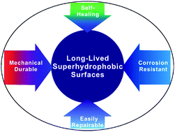 Graphical abstract: Long-lived superhydrophobic surfaces