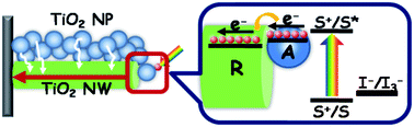 Graphical abstract: Rutile TiO2 nanowire array infiltrated with anatase nanoparticles as photoanode for dye-sensitized solar cells: enhanced cell performance via the rutile–anatase heterojunction