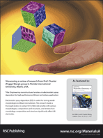 Graphical abstract: Back cover