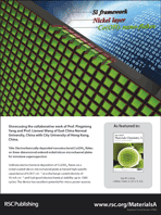 Graphical abstract: Back cover