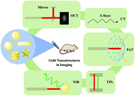 Graphical abstract: Gold: a versatile tool for in vivo imaging