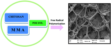 Graphical abstract: Polyol induced interpenetrating networks: chitosan–methylmethacrylate based biocompatible and pH responsive hydrogels for drug delivery system