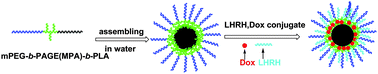 Graphical abstract: Luteinizing-hormone-releasing-hormone-containing biodegradable polymer micelles for enhanced intracellular drug delivery