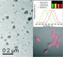 Graphical abstract: Graphene oxide based fluorescent nanocomposites for cellular imaging