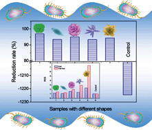 Graphical abstract: Polymorphous ZnO complex architectures: selective synthesis, mechanism, surface area and Zn-polar plane-codetermining antibacterial activity