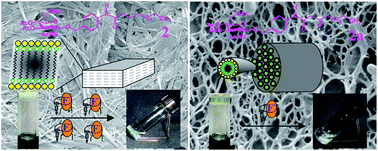 Graphical abstract: Intra- and intermolecular hydrogen bonds enhance the fluoride-responsiveness of functionalized glycolipid-based gelators