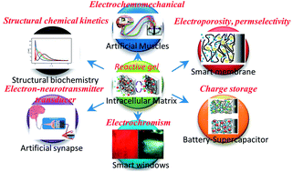 Graphical abstract: Biomimetic intracellular matrix (ICM) materials, properties and functions. Full integration of actuators and sensors