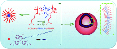 Graphical abstract: Self-assembly of modified rhodamine-6G with tri-block copolymer: unusual vesicle formation, pH sensing and dye release properties