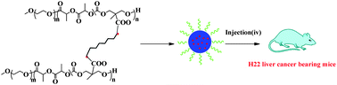 Graphical abstract: Polymeric dinulcear platinum(ii) complex micelles for enhanced antitumor activity