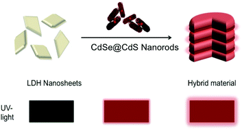 Graphical abstract: Photoluminescent CdSe@CdS/2D as potential biocompatible materials