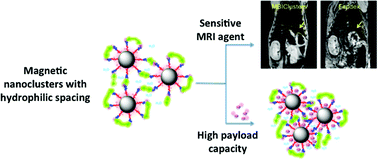 Graphical abstract: Magnetic nanoclusters with hydrophilic spacing for dual drug delivery and sensitive magnetic resonance imaging