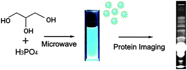 Graphical abstract: Application of fluorescent carbon nanodots in fluorescence imaging of human serum proteins