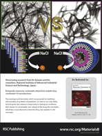 Graphical abstract: Back cover