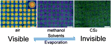 Graphical abstract: Panchromatic plasmonic color patterns: from embedded Ag nanohole arrays to elevated Ag nanohole arrays