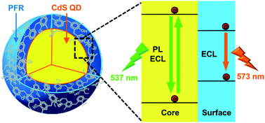 Graphical abstract: Synthesis and low-potential electrogenerated chemiluminescence of surface passivated phenol formaldehyde resin@CdS quantum dots