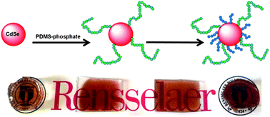 Graphical abstract: Transparent luminescent silicone nanocomposites filled with bimodal PDMS-brush-grafted CdSe quantum dots