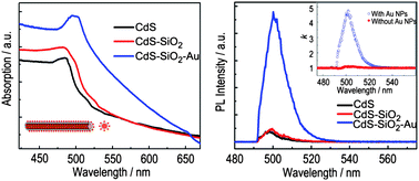 Graphical abstract: Surface plasmon resonance enhanced band-edge emission of CdS–SiO2 core–shell nanowires with gold nanoparticles attached