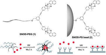 Graphical abstract: Bis-spironaphthooxazine based photochromic polymer materials