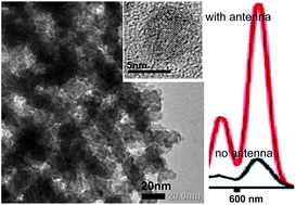 Graphical abstract: Synthesis of free-standing sub-10 nm Y2O3:Eu particles on silica nanowire matrix and amplified luminescence performance