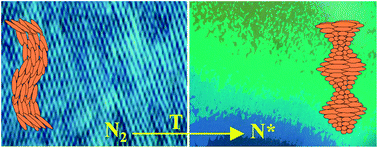 Graphical abstract: Multiple nematic phases observed in chiral mesogenic dimers