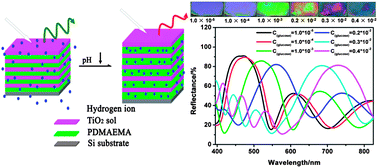 Graphical abstract: Biochemical-to-optical signal transduction by pH sensitive organic–inorganic hybrid Bragg stacks with a full color display