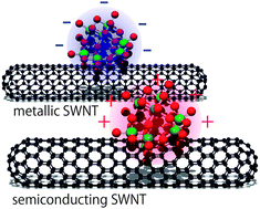 Graphical abstract: Rectification direction inversion in a phosphododecamolybdic acid/single-walled carbon nanotube junction