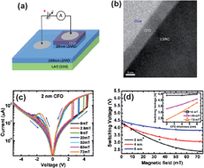 Graphical abstract: Ferromagnetism in metal oxide systems: interfaces, dopants, and defects