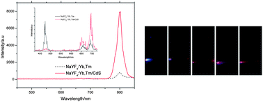 Graphical abstract: Strong red and NIR emission in NaYF4:Yb3+,Tm3+/QDs nanoheterostructures