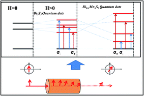 Graphical abstract: Novel and stable Mn2+@Bi2S3 quantum dots–glass system with giant magneto optical Faraday rotations