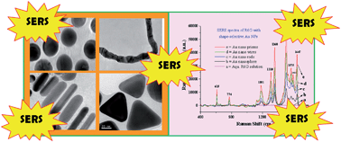 Graphical abstract: A new route for the formation of Au nanowires and application of shape-selective Au nanoparticles in SERS studies