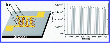 Graphical abstract: One-step fabrication of an ultralong zinc octaethylporphyrin nanowire network with high-performance photoresponse