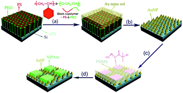 Graphical abstract: Block copolymer nanolithography to manufacture nanopatterned gold substrate for surface-initiated polymerization