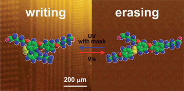 Graphical abstract: Reversible actuating and writing behaviours of a head-to-side connected main-chain photochromic liquid crystalline polymer