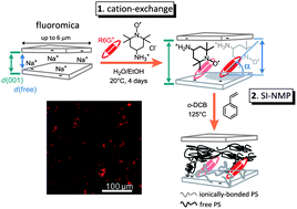 Graphical abstract: Poly(styrene)-graft-/rhodamine 6G–fluoromica hybrids: synthesis, characterization and photophysical properties