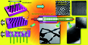 Graphical abstract: Sonochemical nanoplungers: crystalline gold nanowires by cavitational extrusion through nanoporous alumina