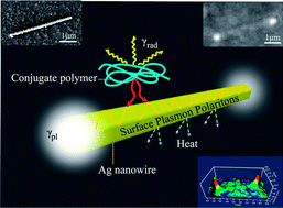 Graphical abstract: Effective excitation and control of guided surface plasmon polaritons in a conjugated polymer–silver nanowire composite system