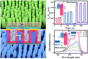 Graphical abstract: Three-dimensional heterostructured ZnSe nanoparticles/Si wire arrays with enhanced photodetection and photocatalytic performances