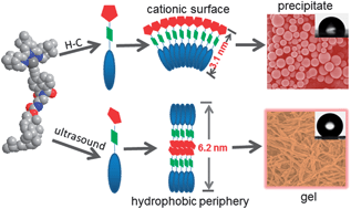 Graphical abstract: Colour change and luminescence enhancement in a cholesterol-based terpyridyl platinum metallogel via sonication