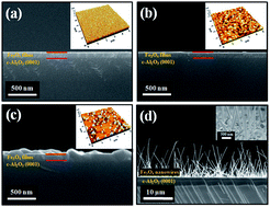 Graphical abstract: Selective growth of pure magnetite thin films and/or nanowires grown in situ at a low temperature by pulsed laser deposition