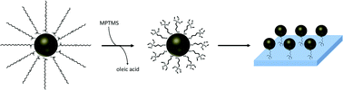 Graphical abstract: A versatile approach for coating oxidic surfaces with a range of nanoparticulate materials