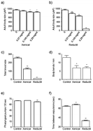 Graphical abstract: The toxicological assessment of two anti-obesity drugs in C. elegans