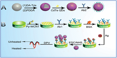 Graphical abstract: Ultrasensitive immunoassay based on dual signal amplification of the electrically heated carbon electrode and quantum dots functionalized labels for the detection of matrix metalloproteinase-9