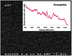 Graphical abstract: Hydrophobicity-driven self-assembly of protein and silver nanoparticles for protein detection using surface-enhanced Raman scattering