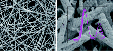 Graphical abstract: Nanostructured α-Fe2O3 platform for the electrochemical sensing of folic acid