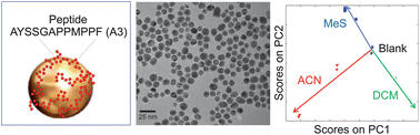 Graphical abstract: Selective sensing of vapors of similar dielectric constants using peptide-capped gold nanoparticles on individual multivariable transducers