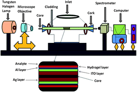 Graphical abstract: Surface plasmon resonance based fiber optic pH sensor utilizing Ag/ITO/Al/hydrogel layers