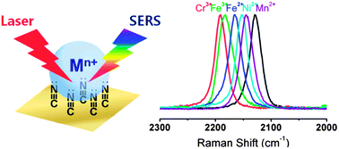 Graphical abstract: Cyanide SERS as a platform for detection of volatile organic compounds and hazardous transition metal ions