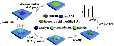 Graphical abstract: On-plate glycoproteins/glycopeptides selective enrichment and purification based on surface pattern for direct MALDI MS analysis